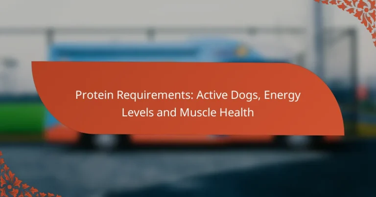 Protein Requirements: Active Dogs, Energy Levels and Muscle Health