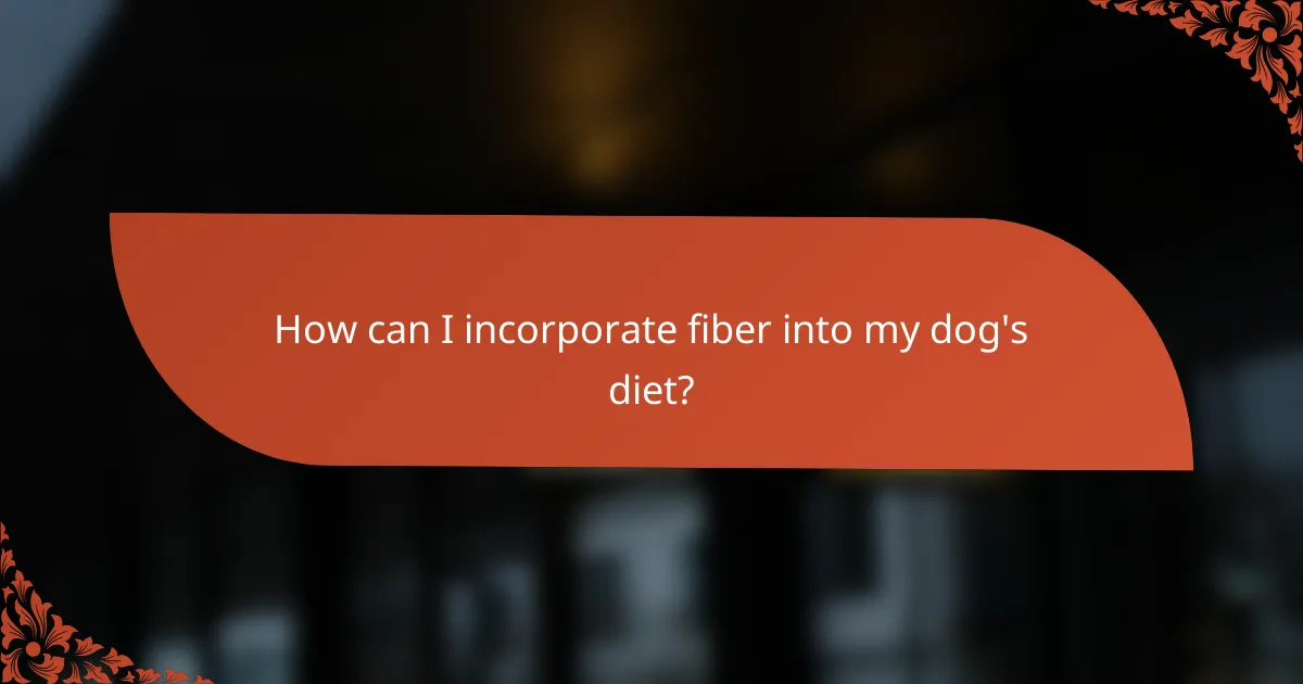 How can I incorporate fiber into my dog's diet?