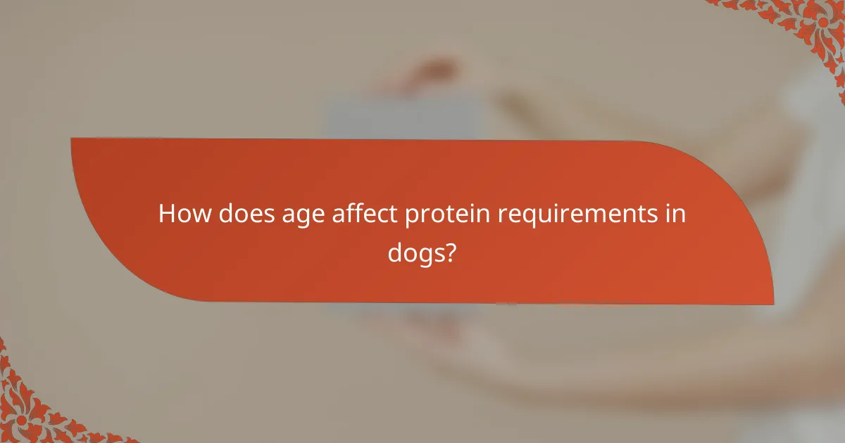How does age affect protein requirements in dogs?
