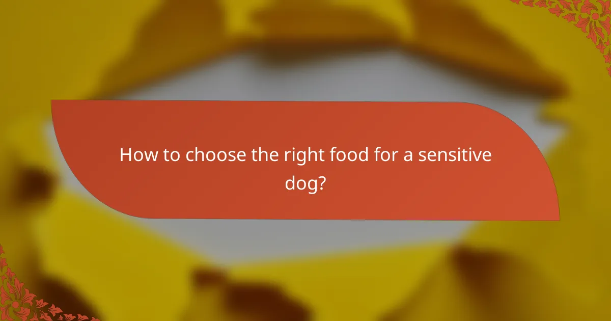 How to choose the right food for a sensitive dog?