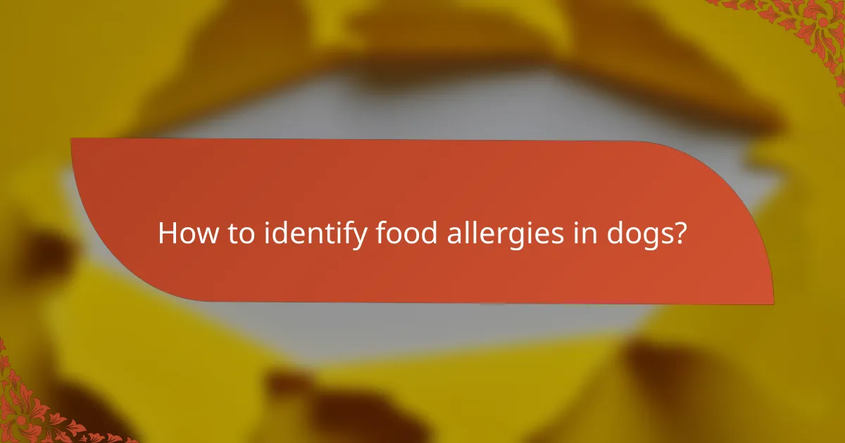 How to identify food allergies in dogs?