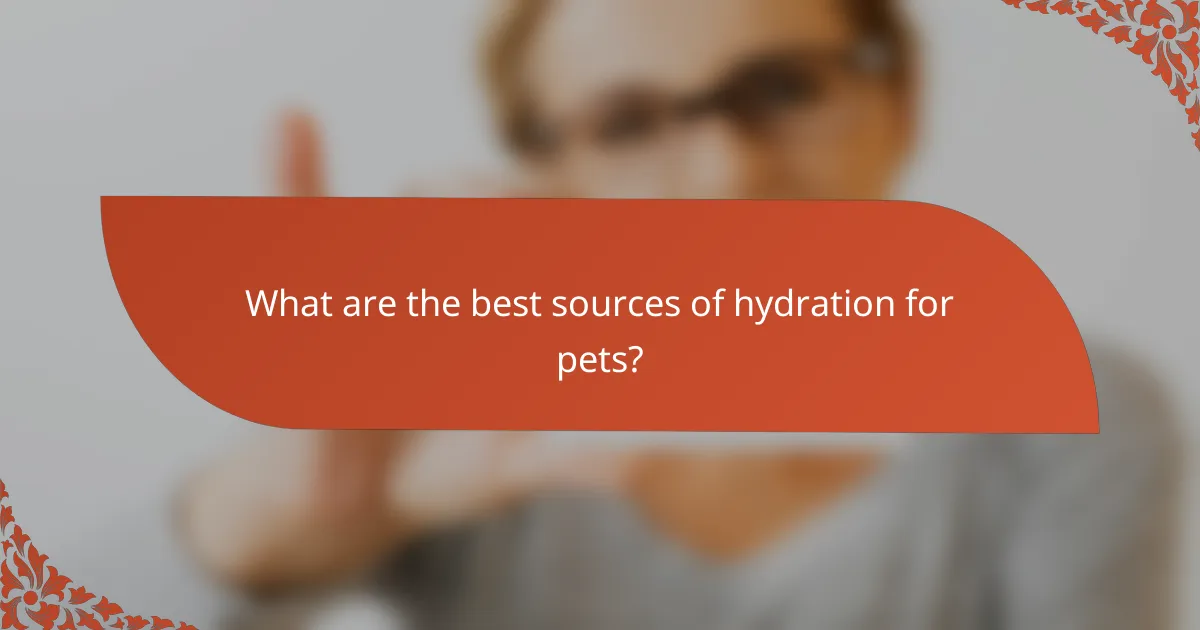What are the best sources of hydration for pets?