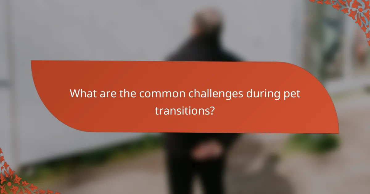 What are the common challenges during pet transitions?