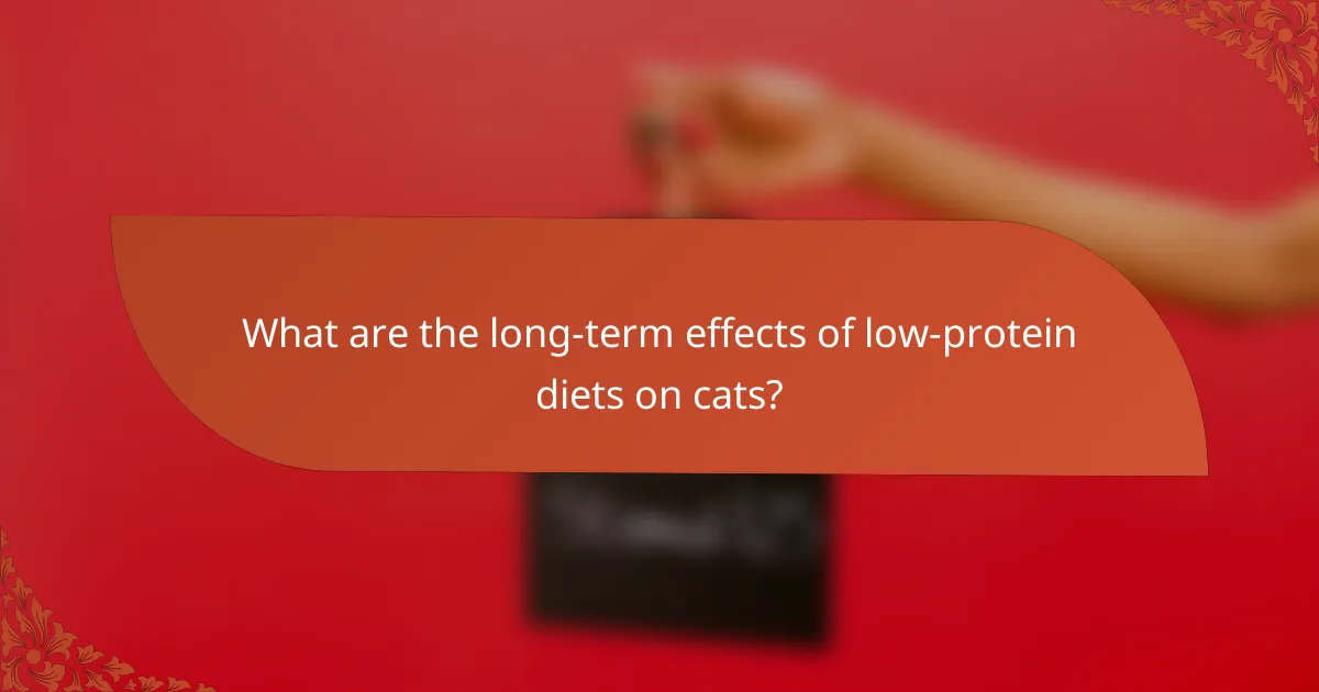 What are the long-term effects of low-protein diets on cats?