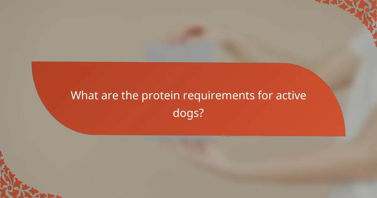 What are the protein requirements for active dogs?