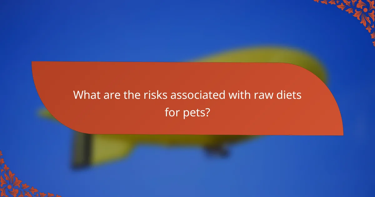 What are the risks associated with raw diets for pets?
