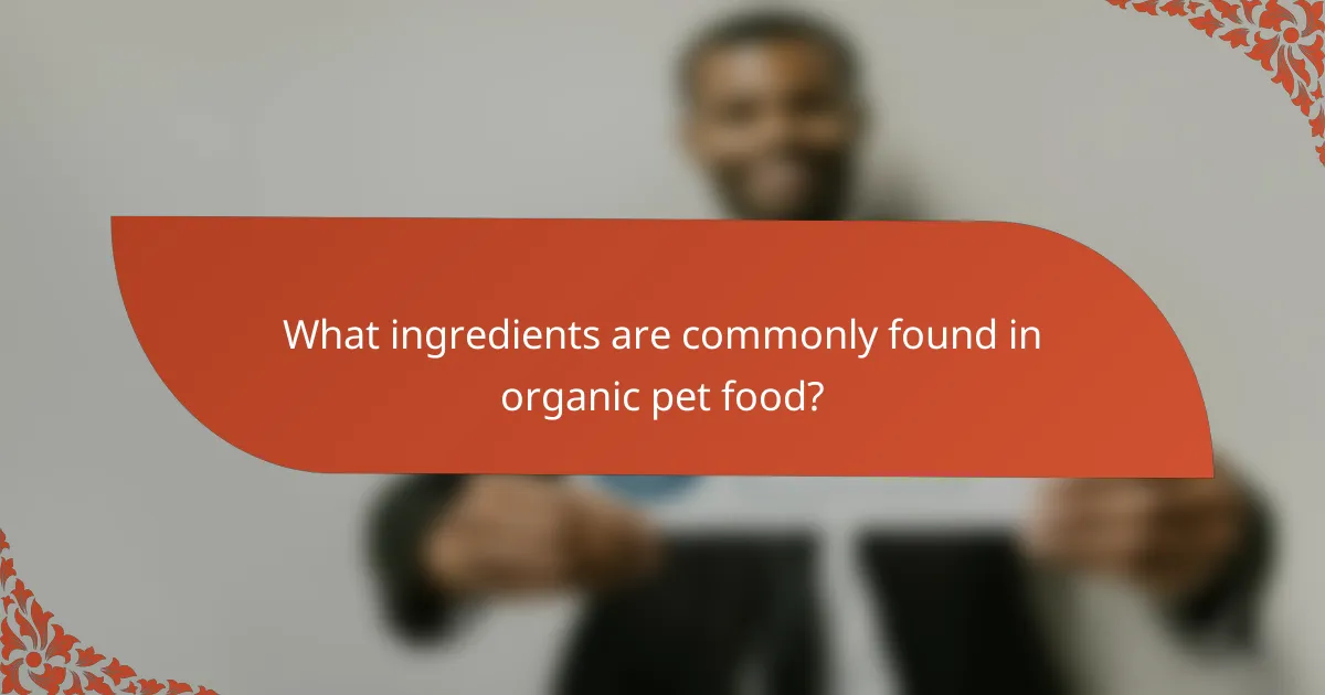 What ingredients are commonly found in organic pet food?