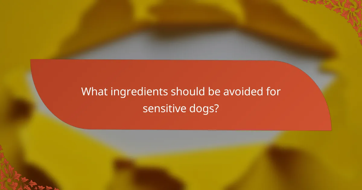 What ingredients should be avoided for sensitive dogs?