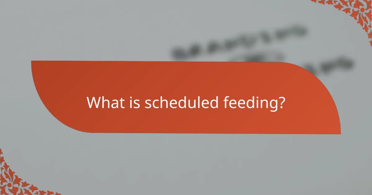 What is scheduled feeding?