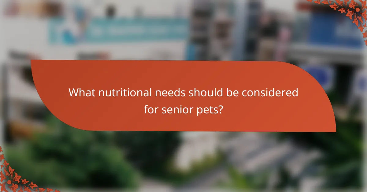 What nutritional needs should be considered for senior pets?
