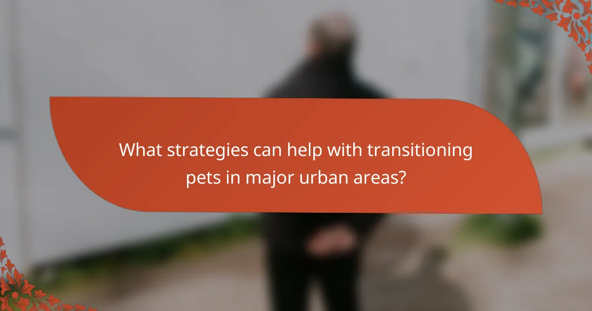 What strategies can help with transitioning pets in major urban areas?