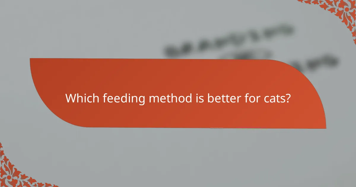 Which feeding method is better for cats?