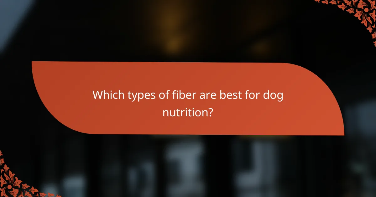 Which types of fiber are best for dog nutrition?